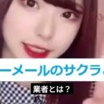 【ハッピーメール攻略】サクラと業者を簡単に見分ける方法と安全な出会いのコツ